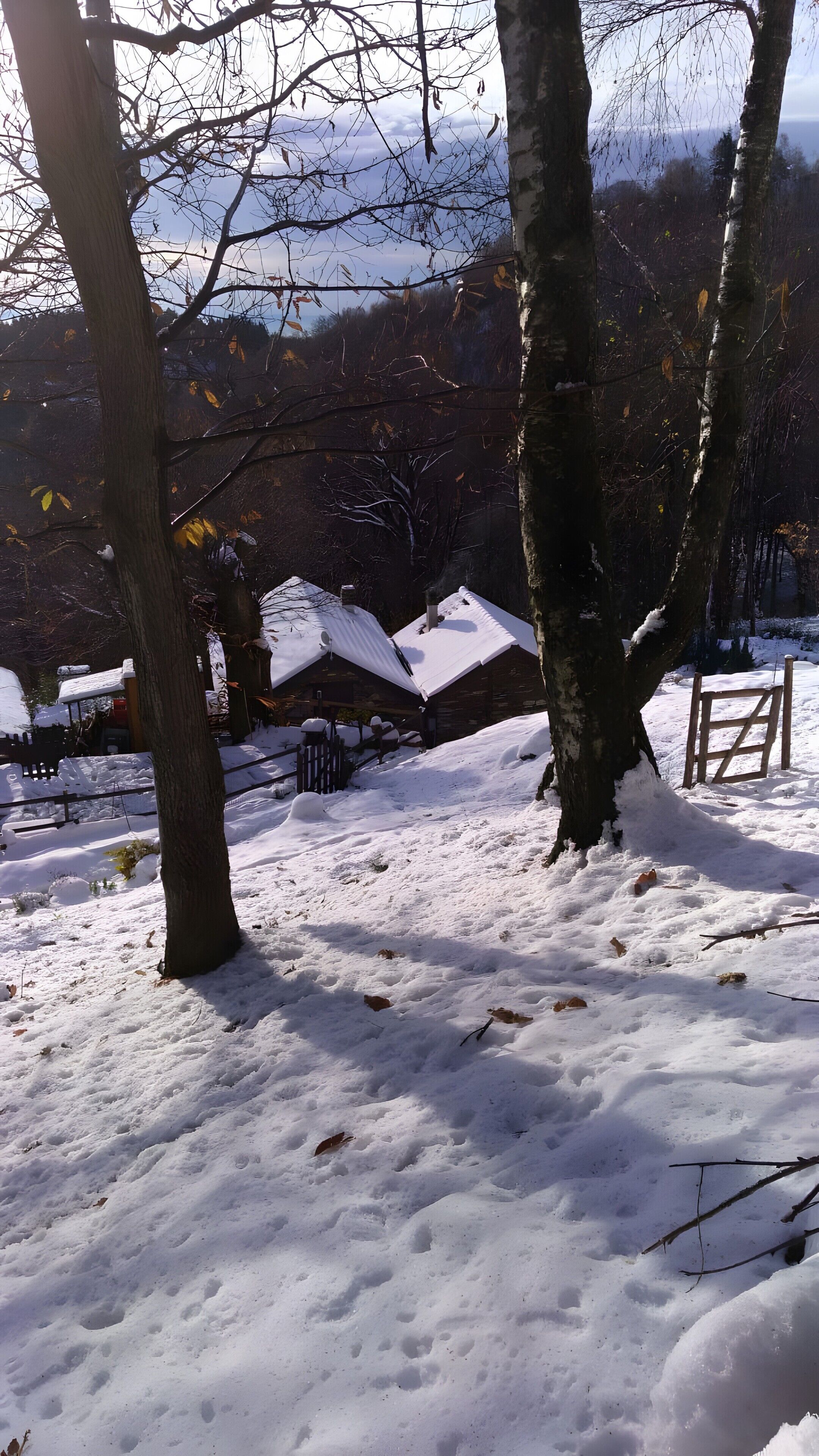 Parco della struttura