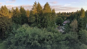 Zona boscosa con un parque infantil y una casa al fondo.