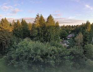Ein bewaldetes Gebiet mit einem Spielplatz und einem Haus im Hintergrund.