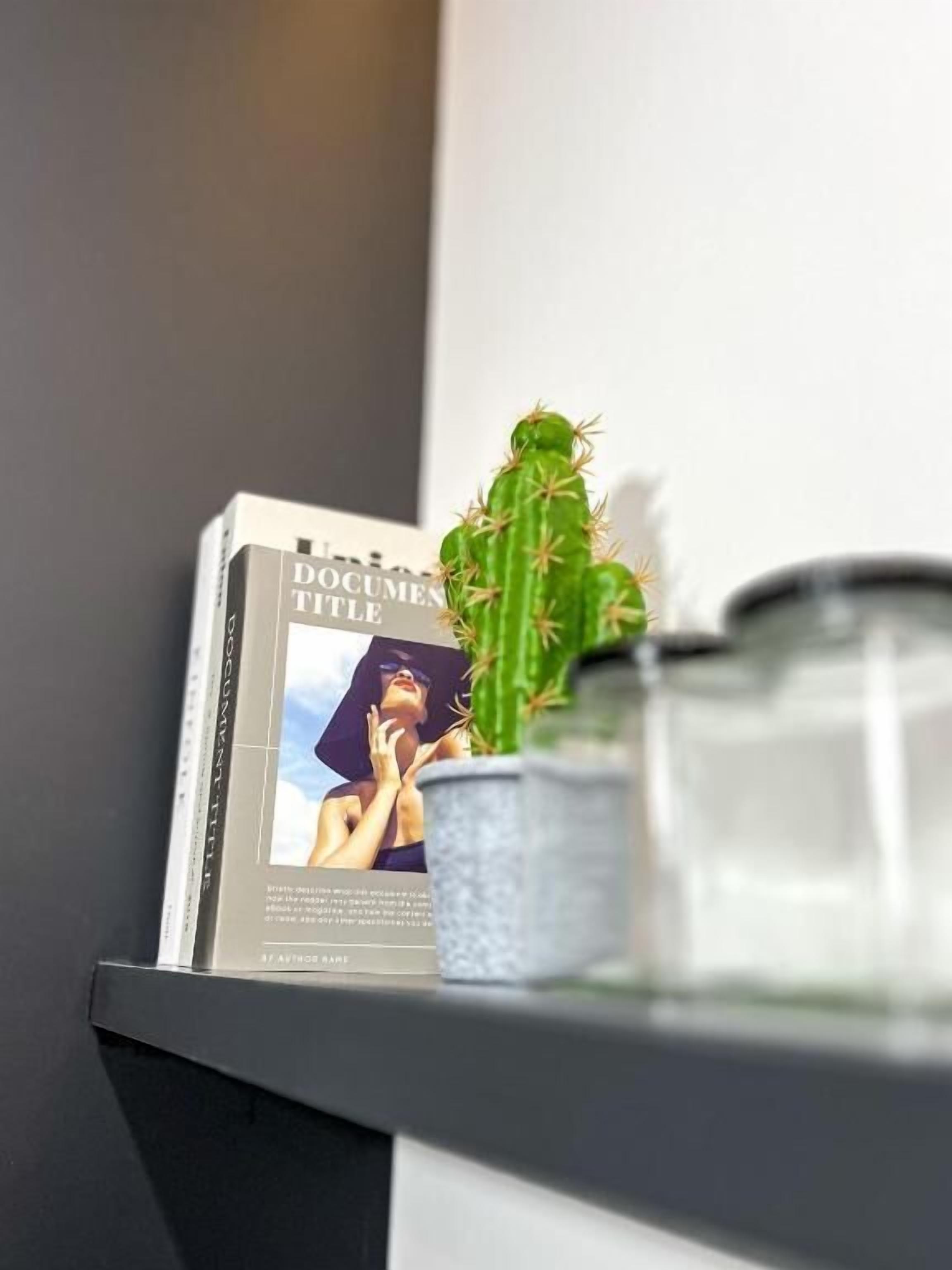 Ein Kaktus auf einem Regal mit einem Buch mit dem Titel 'DOCUMENT TITLE' und einem kleinen Topf.