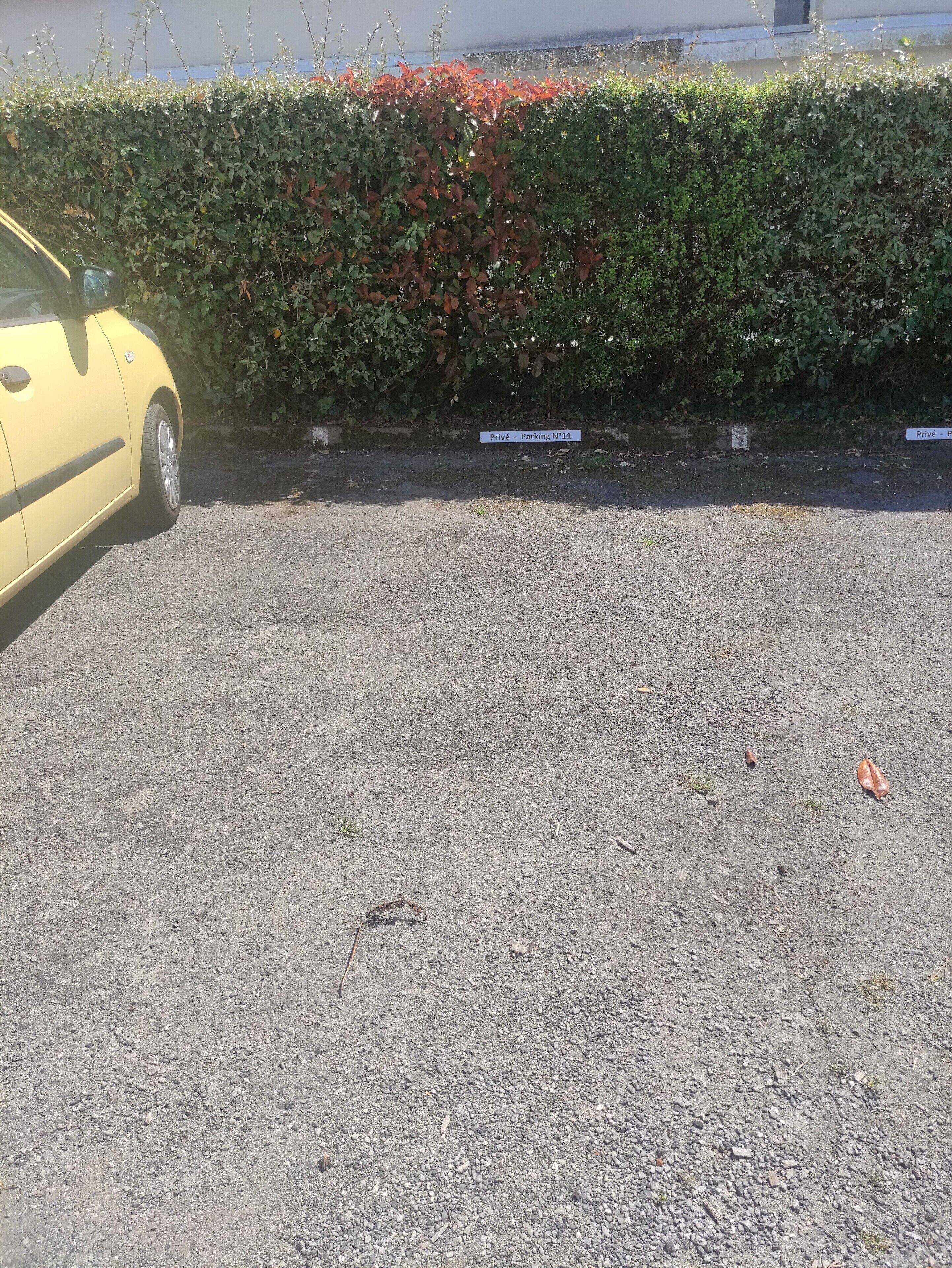 Une voiture jaune est garée sur un terrain recouvert de gravier, à proximité d’une haie et d’un panneau indiquant qu’il s’agit d’un espace de stationnement privé.