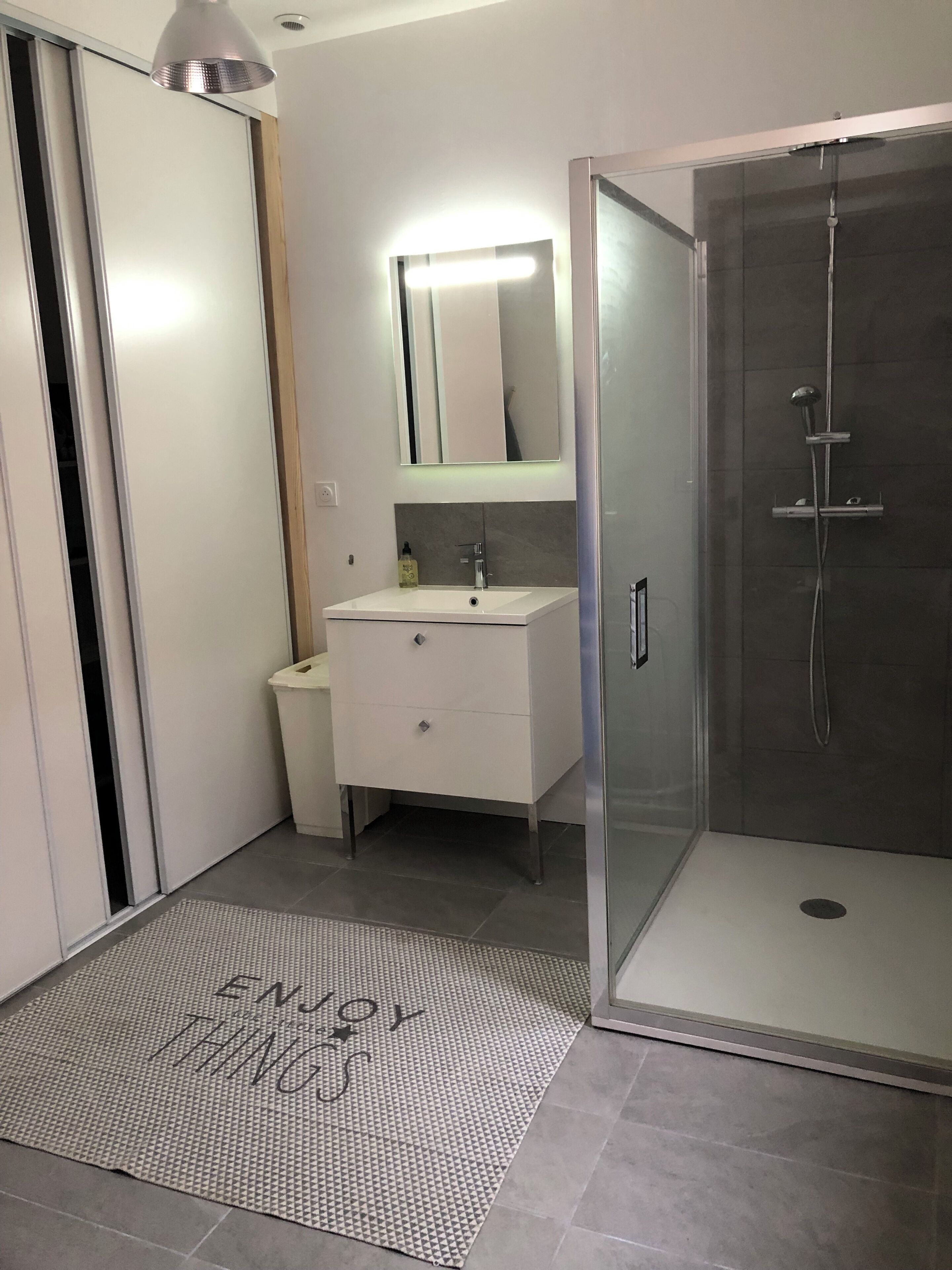 Shower, hair dryer, toilet paper