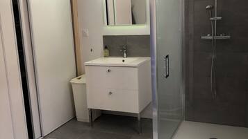 Shower, hair dryer, toilet paper