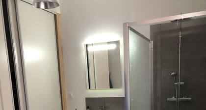 Grand Appartement Duplex T5 Montauban Centre-ville