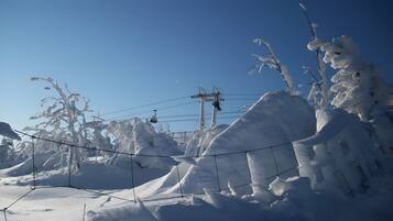 Een besneeuwd landschap met een skilift en hoogspanningslijnen.