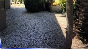 Een binnenplaats met grind, een palmboom en een witte parasol.