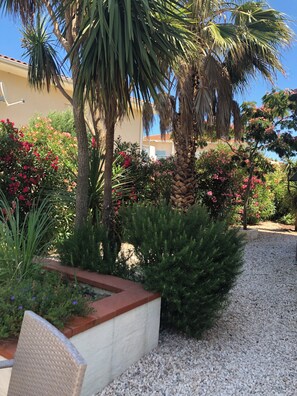 Un jardin agrémenté de palmiers, d’arbustes en fleurs et d’un chemin de gravier.