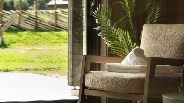 A room with a wooden chair, a potted plant, and a view of a green landscape through an open door. - Fjelleventyret (Skjaak)