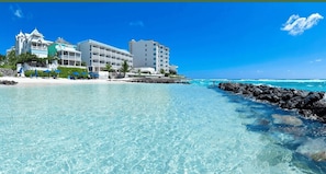 Beach - Breathe Easy at this Relaxing Beach Front Property (Christ Church)