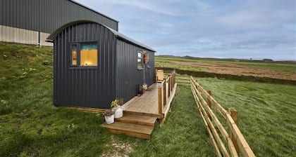 Host & Stay | Swallows Nest