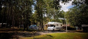 Property grounds - Camping 4 étoiles - Piscine  - ccbecdi (Gourdon)