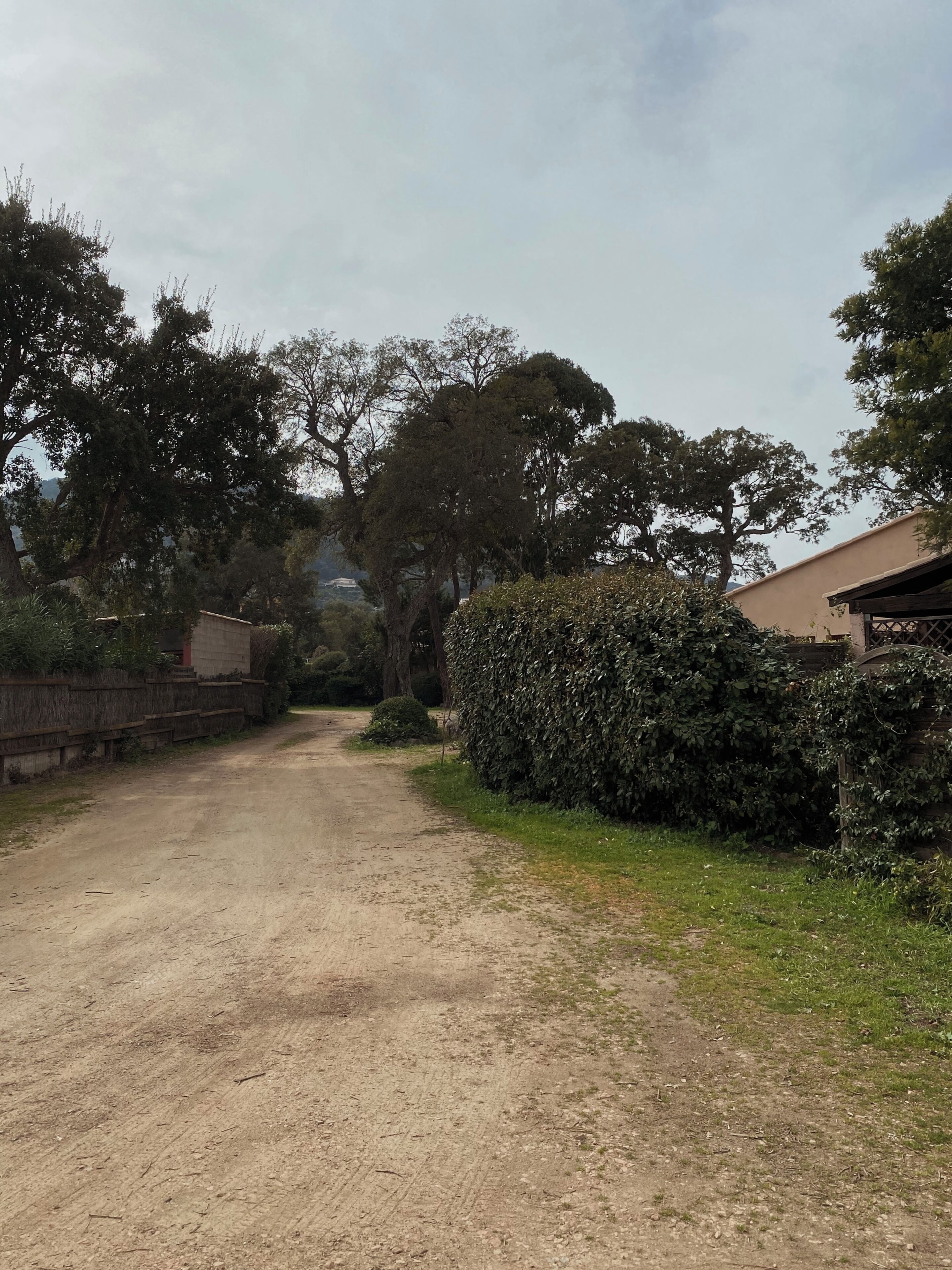 Un chemin de terre qui traverse une zone rurale, bordé d’une végétation dense, et un bâtiment doté d’un toit plat.