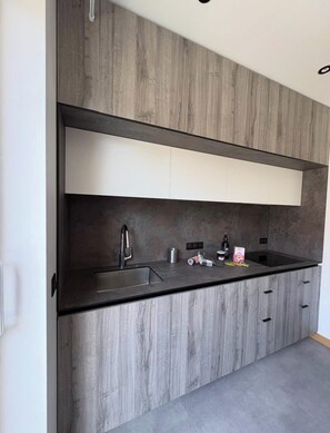 Interior - Renovated city center apartment with terrace (Aix-les-Bains)
