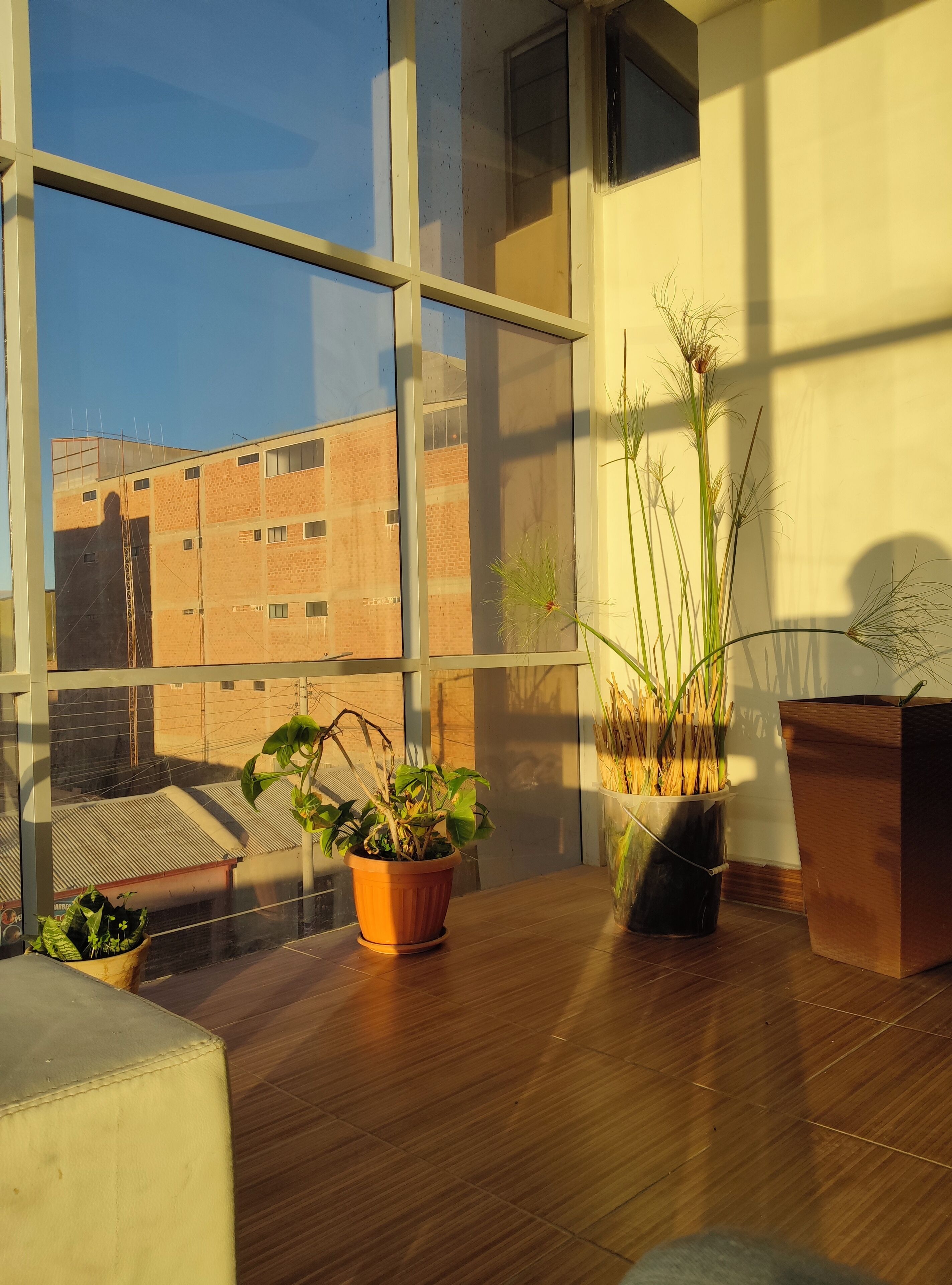 المنشأة من الداخل