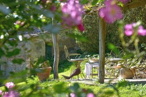 Un entorno rústico al aire libre con una mesa y sillas de madera, un pájaro en el suelo y una planta en maceta.
