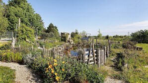 Un jardin avec un étang, une clôture en bois et diverses plantes.