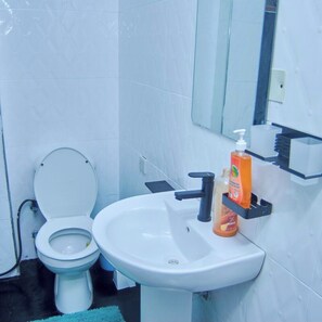 Secadora de cabello, toallas, jabón, papel de baño 