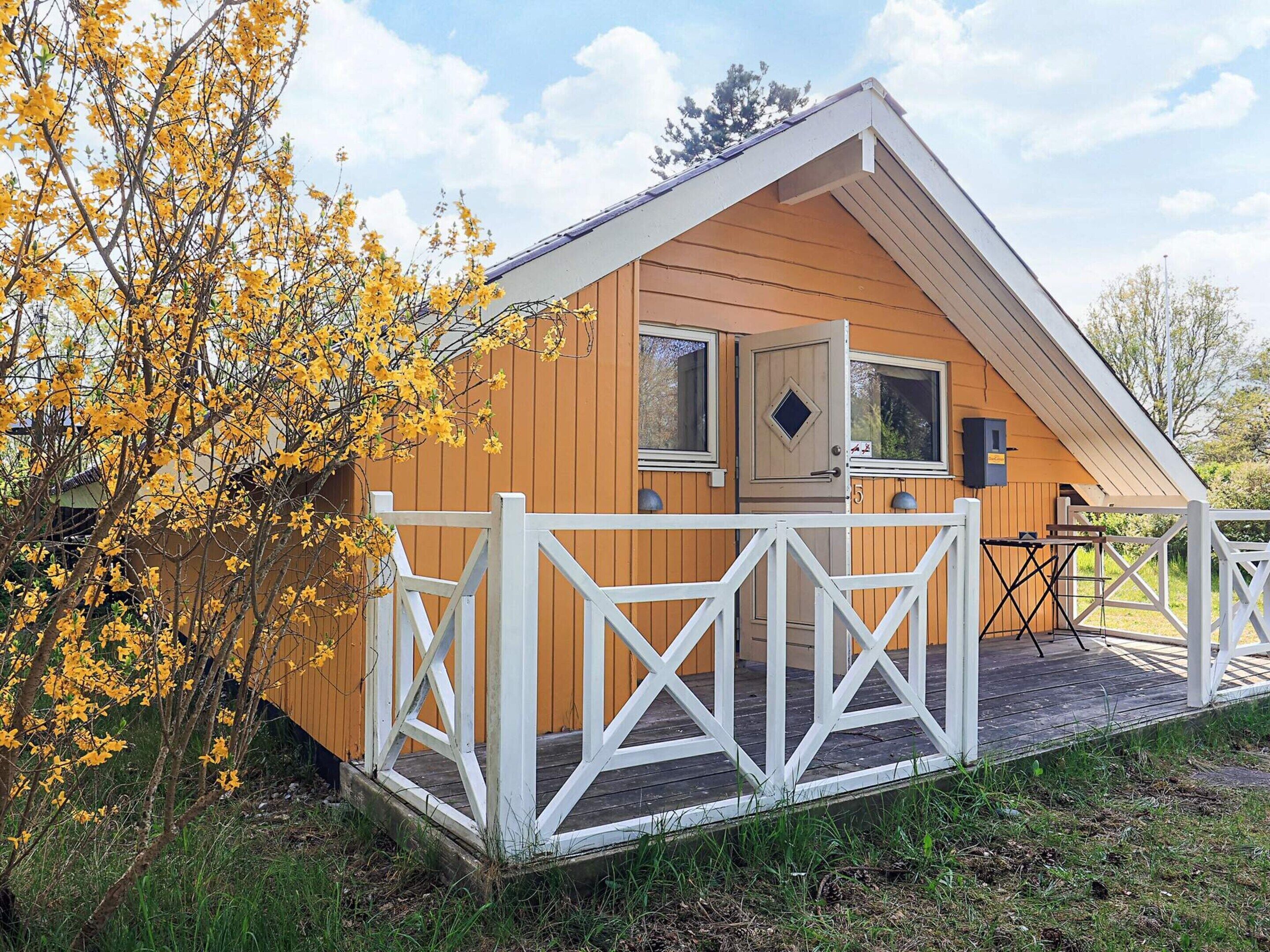 House | Pemandangan dari hartanah