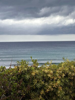A coastal view with a body of water, overcast sky, and dense foliage in the foreground. - House by the sea - just a few steps to the beach, with garden & terrace (Porto Alabe)