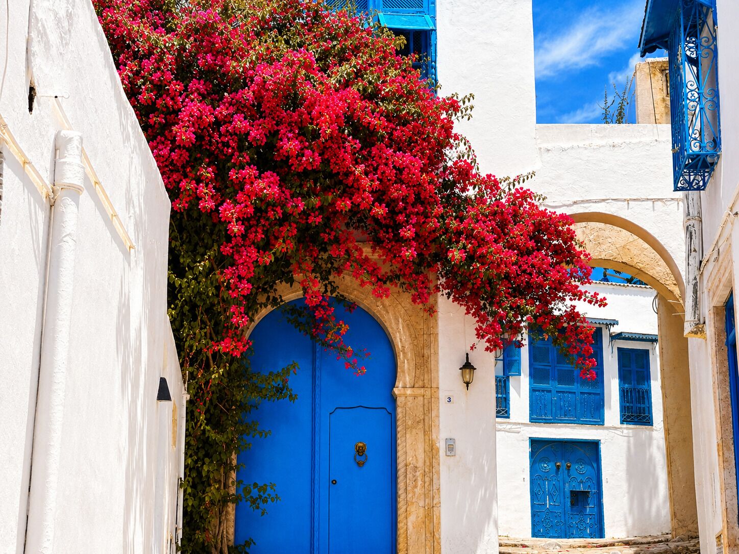 Une rue étroite bordée de bâtiments blancs, de portes bleues et de bougainvilliers roses.