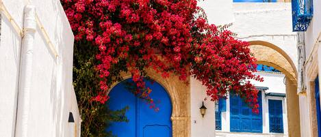 Une rue étroite bordée de bâtiments blancs, de portes bleues et de bougainvilliers roses.