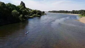 Ein Fluss mit einer Person auf einem Stand-Up-Paddleboard, umgeben von Grünpflanzen und einer fernen Uferlinie.