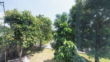 Family Room | Property grounds