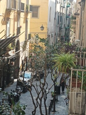 Una calle estrecha flanqueada por edificios, con plantas en macetas y scooters estacionados.