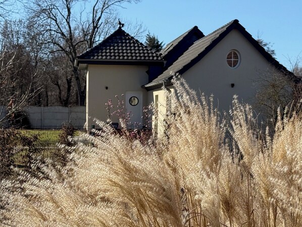 Detalle del exterior