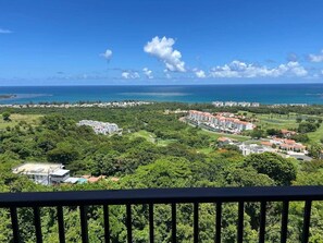 Property grounds - Panoramic Ocean Views  1BR Near Beach & El Yunque (Zarzal)