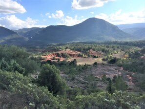 Un paisaje montañoso con denso bosque y cielo despejado.