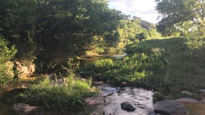 A natural landscape with a stream, rocks, and dense greenery. - Bed and Breakfast 'Chambre Toscane' with Shared Terrace, Shared Garden and Wi-Fi (Serres)