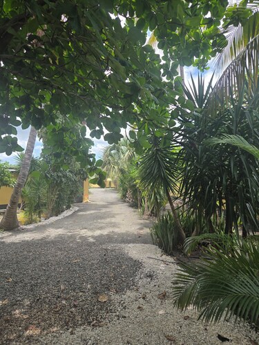 Finca verde