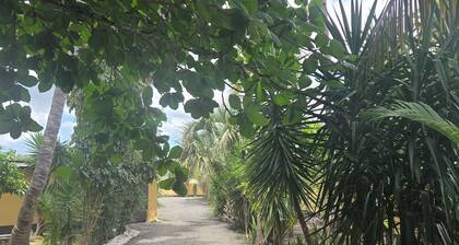 Finca verde