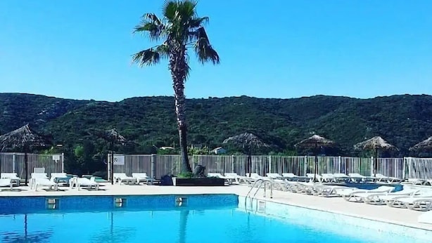 Ein klares, blaues Schwimmbecken mit Liegestühlen und einer Palme, umgeben von einem Zaun und einer Bergkulisse.