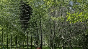 Un chemin de pierres dans un parc, avec des arbres et une petite construction.