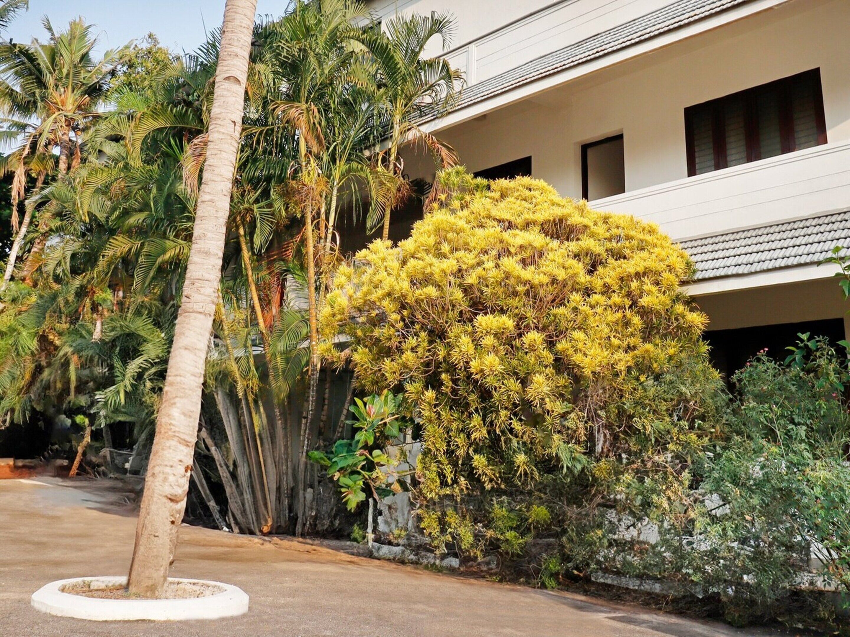 ハウス | フロント