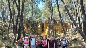 A group of people standing in a forested area with trees and a rocky outcrop in the background. - Chalet 4 étoiles - Piscine  - ccbehhg (Saignon)