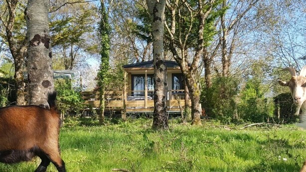 Een rustieke hut omringd door bomen, met een gazon op de voorgrond.