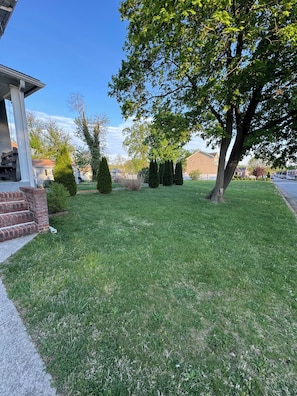 A residential lawn with a tree, a brick house, and a clear sky.