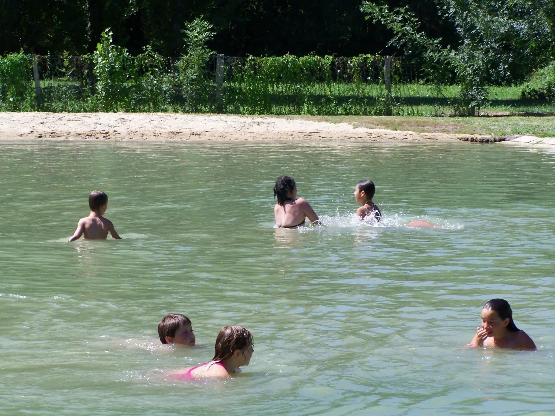 A group of people swimming in a natural water body surrounded by greenery.