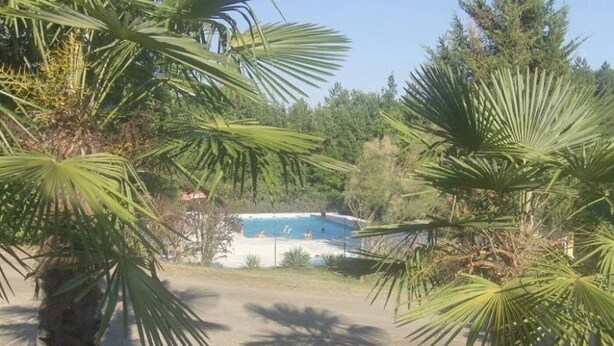Zona de piscina con palmeras, un edificio y cielo despejado.