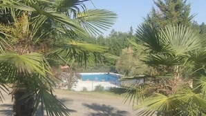 Ett poolområde omgivet av palmer.