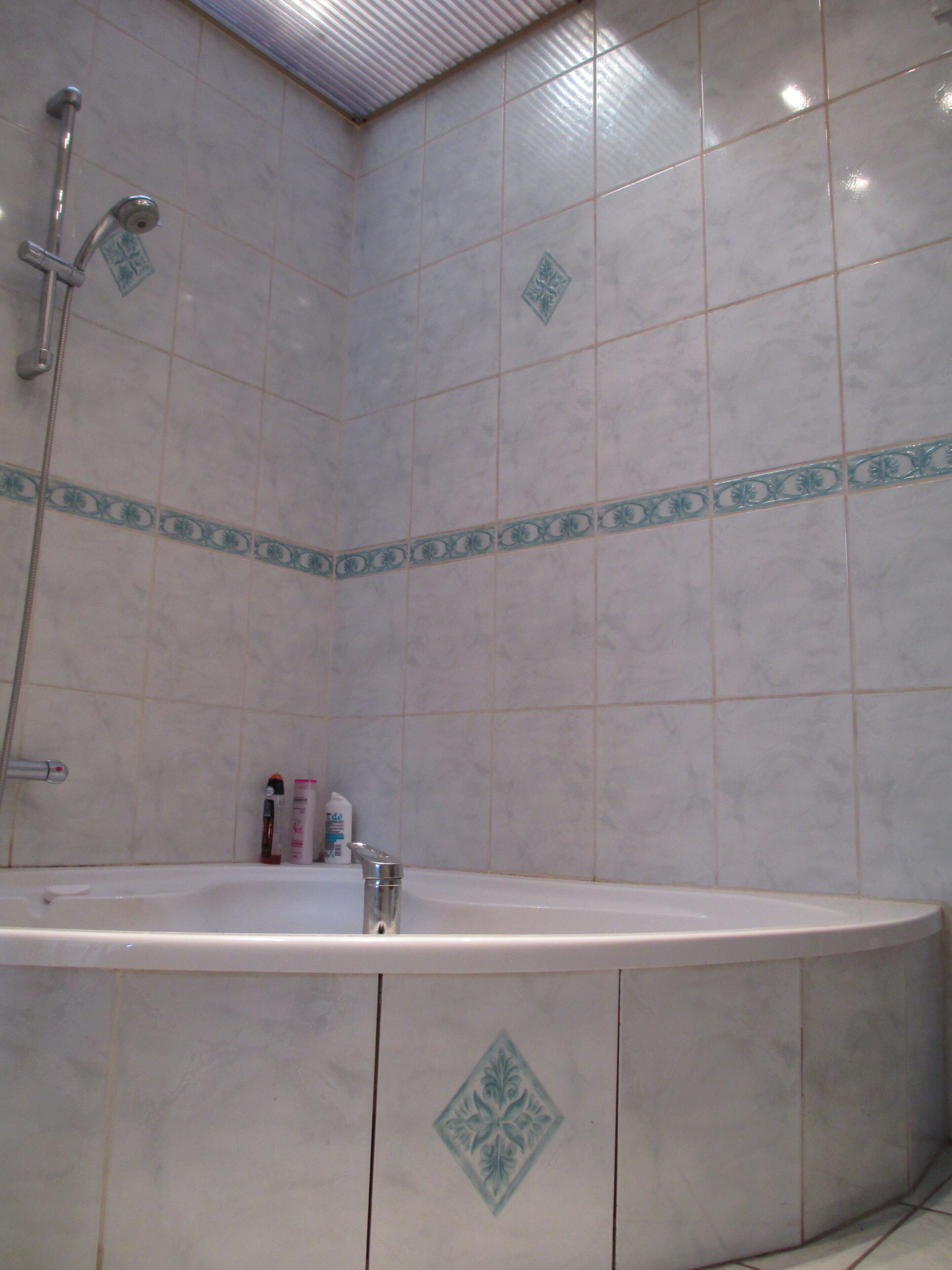 Asciugacapelli, asciugamani, sapone, shampoo