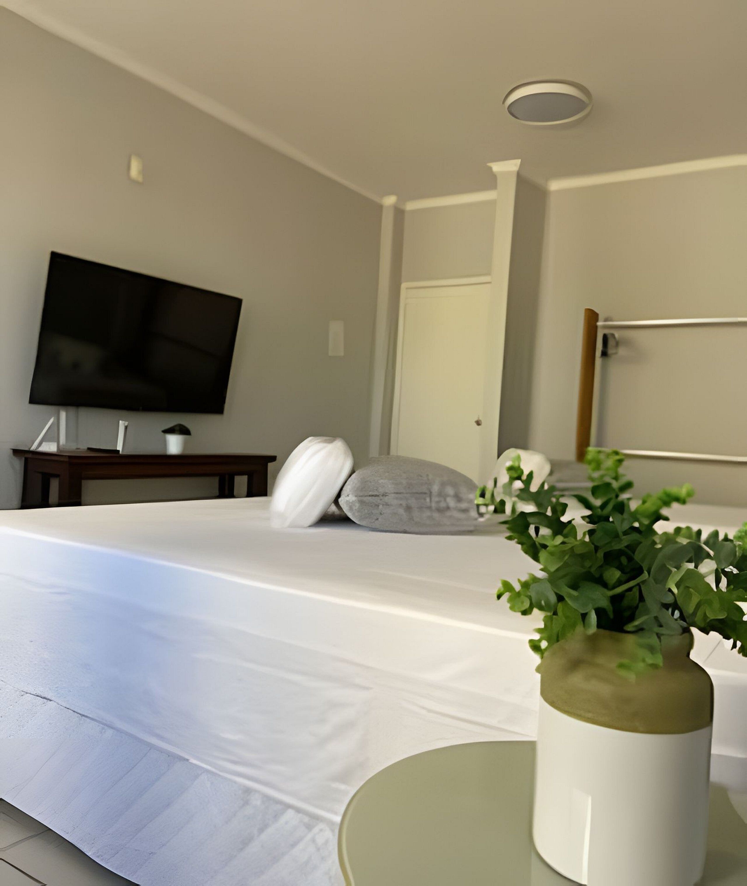 A hotel room with a bed, a flat-screen TV mounted on the wall, a bedside table, and a potted plant on the floor.