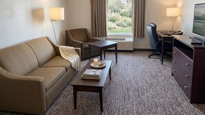 A hotel room with a sofa, a small table with a book, a desk with a computer, a TV, and a window with curtains. - Pecos Inn (Pecos)