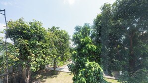 Un jardín con árboles, un camino y una silla blanca.