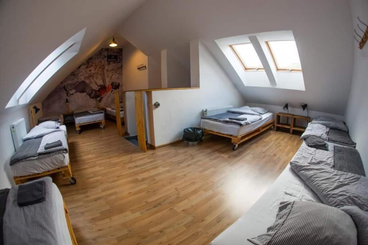 A loft-style bedroom with a sloped ceiling, wooden flooring, and two skylights.