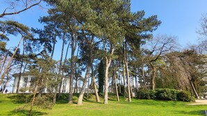 Ein Park mit hohen Bäumen, einem weißen Gebäude und einer Rasenfläche.