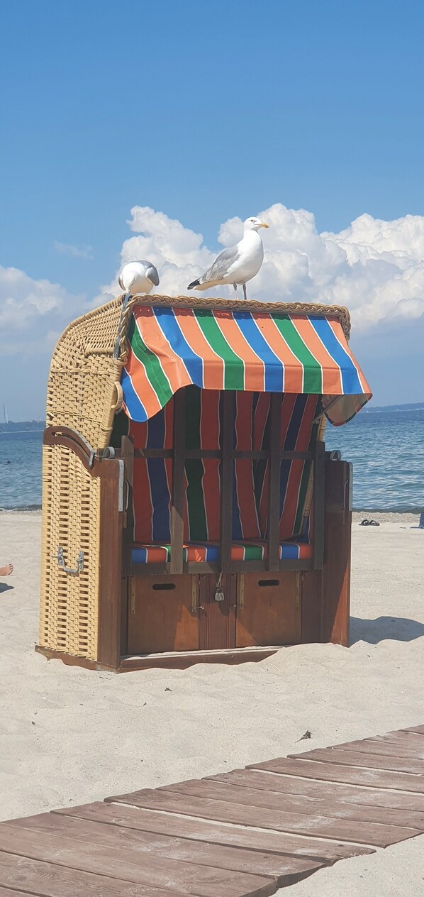 Beach - Beautiful vacation apartment near the beach Timmendorfer Strand (Timmendorfer Strand)